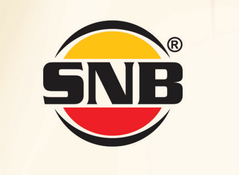SNB logo.png